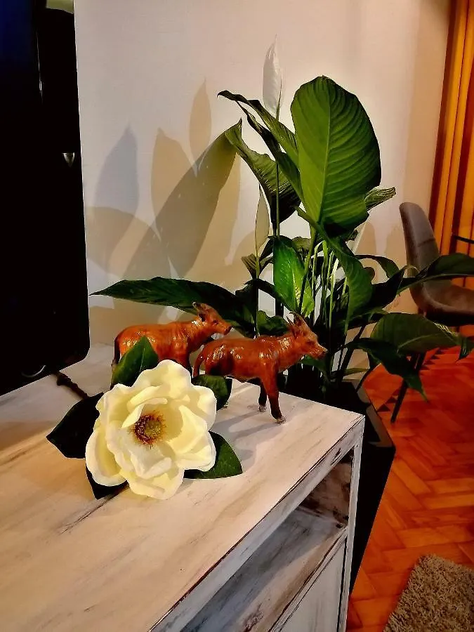 Apartamento The Sunset Lisbon Flat